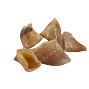 Ecostar Hunde Snack Kalbskauhufe 10 Stück