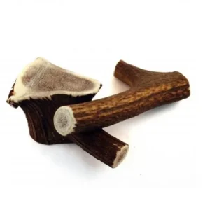 Chewies Rothirsch-Geweihstangen ganz - XL