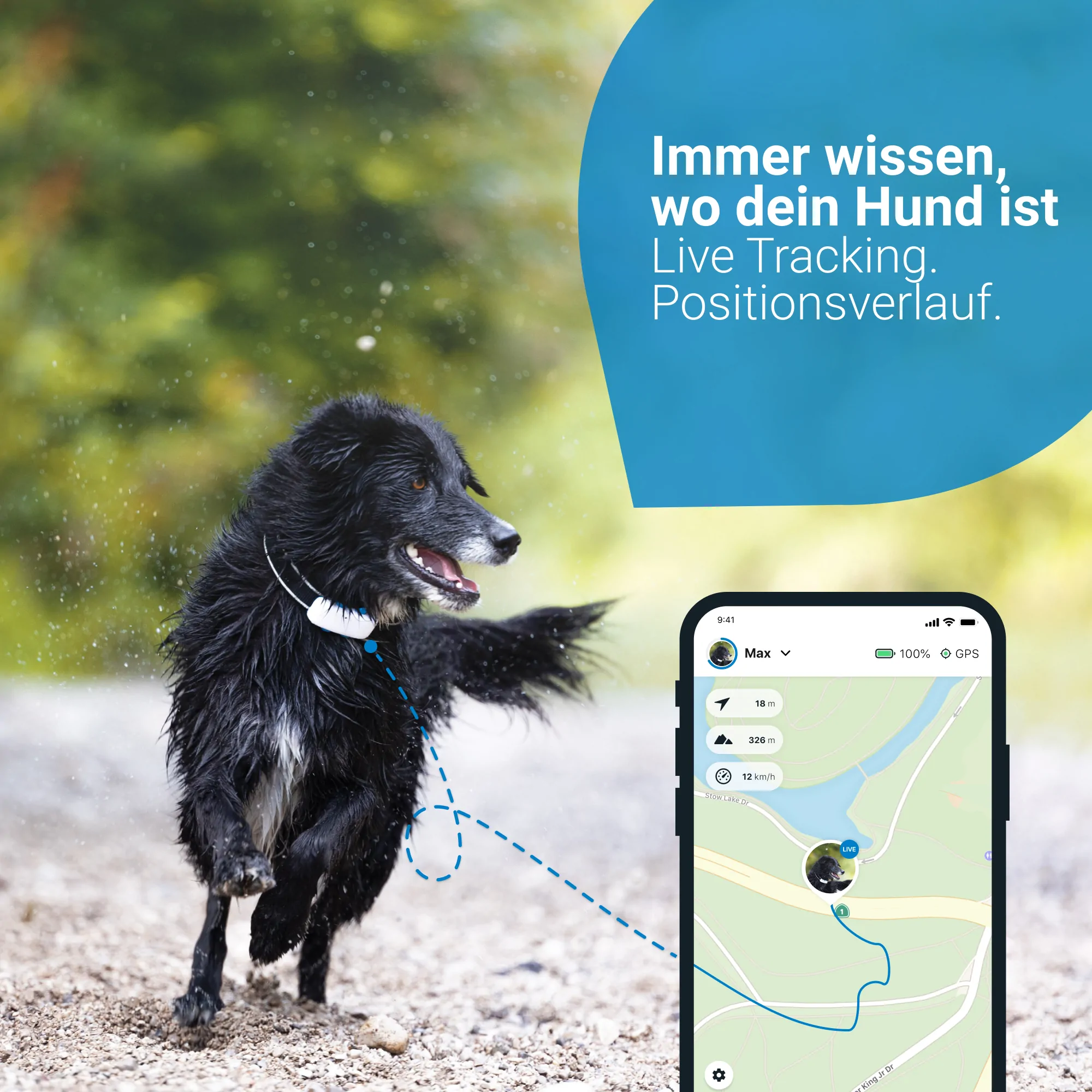 Tractive GPS Tracker 4 LTE Hund kaffee – Bild 2