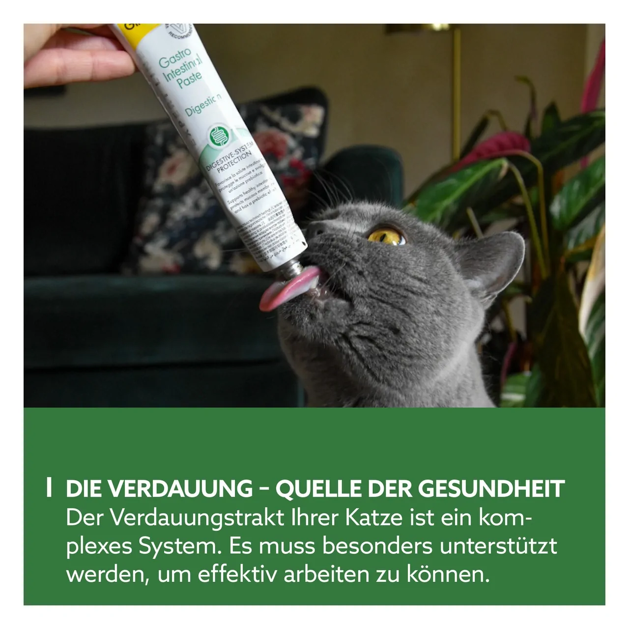 GimCat - Gastro Intestinal Paste 50g – Bild 3