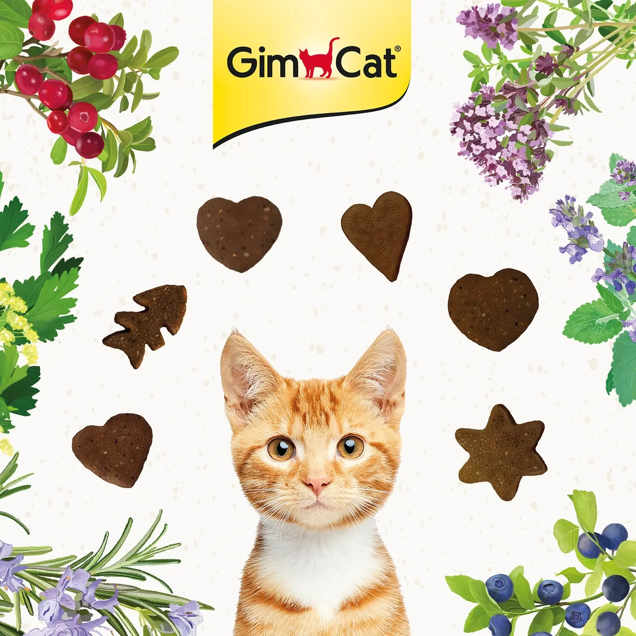 GimCat - Crunchy Snack Truthahn mit Cranberries 50 g – Bild 3