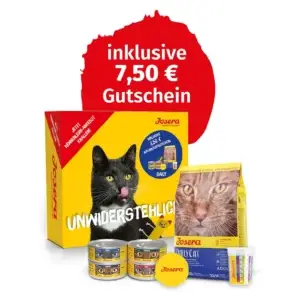 Josera Cat Probierpaket Daily