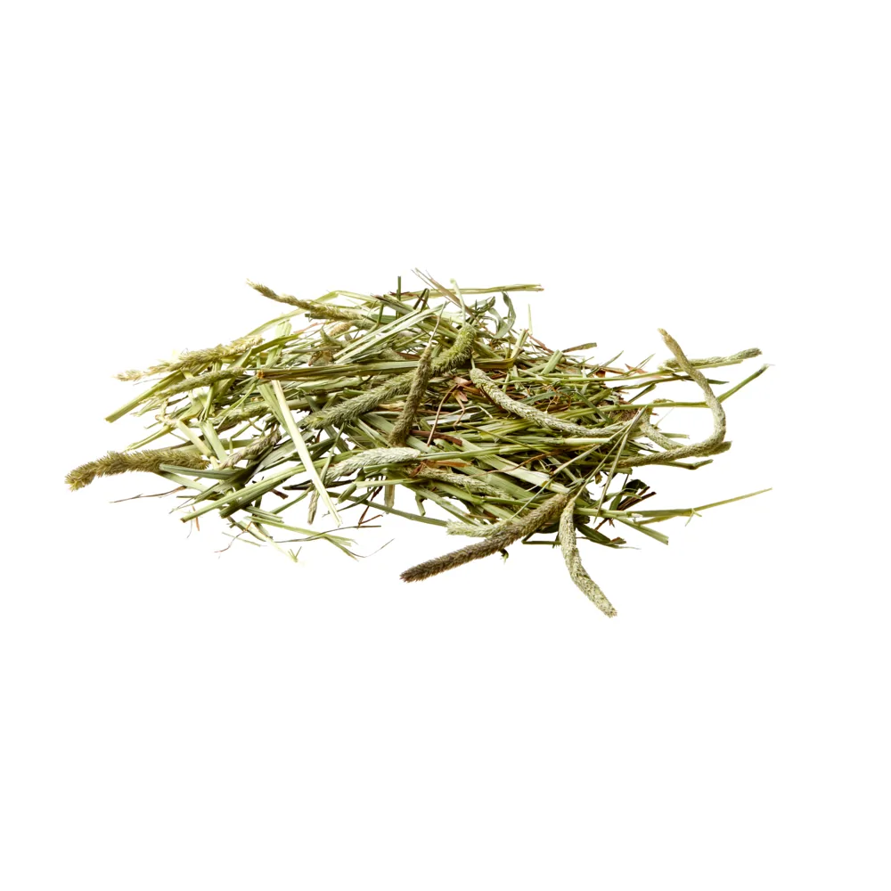Versele-Laga Timothy Hay 1kg – Bild 2