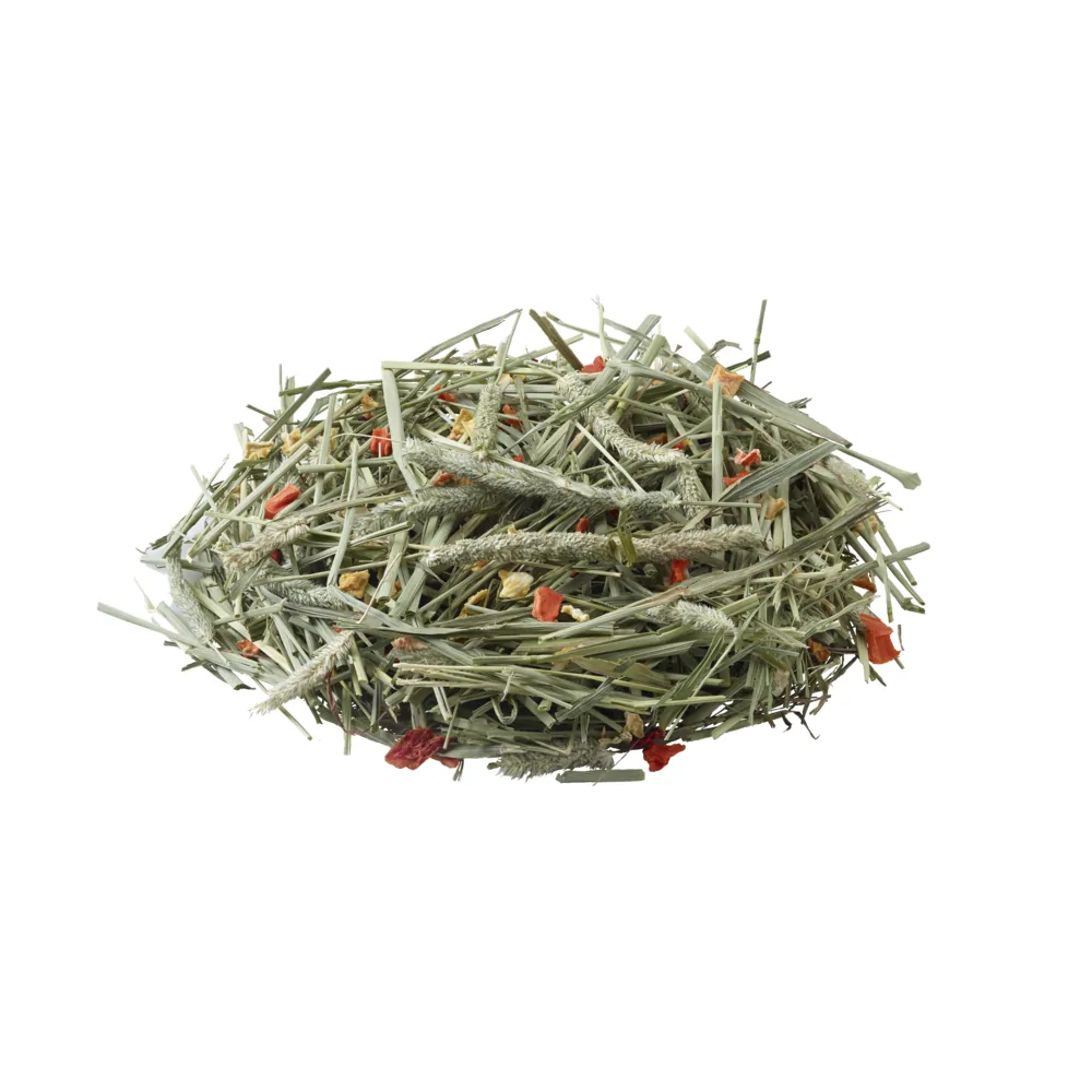 Versele - Laga Timothy Hay Carrot & Pumpkin 500g – Bild 2