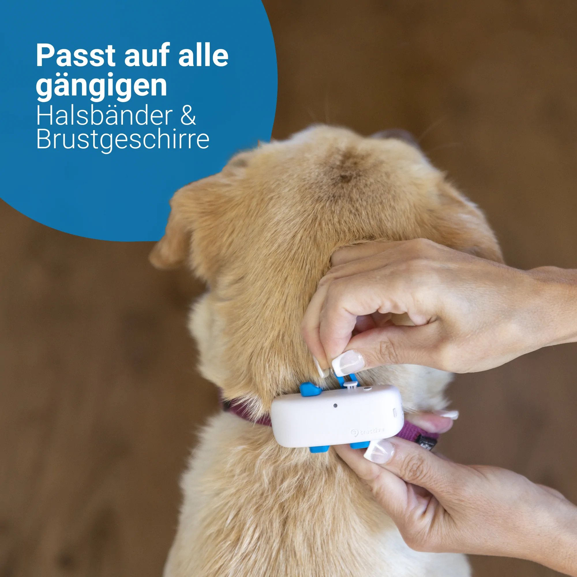 Tractive GPS Tracker 4 LTE Hund kaffee – Bild 6