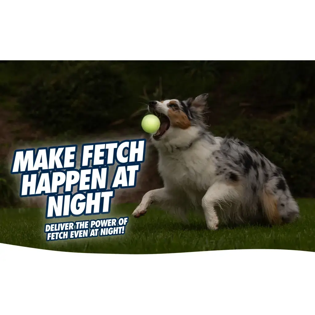 Chuckit! Max Glow Ultra Squeaker Ball M – Bild 3