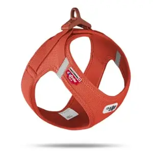 Curli Clasp Vest Geschirr Air-Mesh Sun Orange - Größe; 3XS
