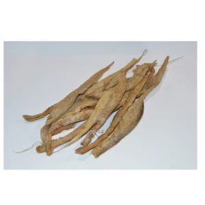 Degenfisch