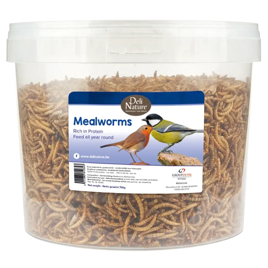 Deli Nature Mehlwürmer getrocknet im Eimer 700g