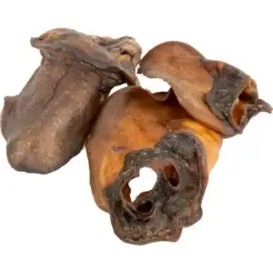 Eco Dog Snack Wildschweinohren 100g