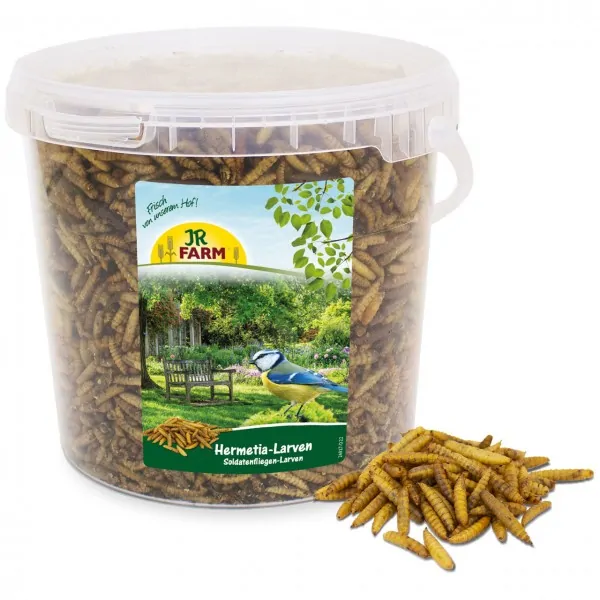 JR-Farm Hermetia-Larven