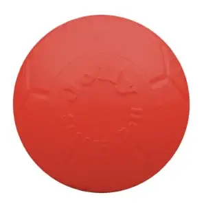 Jolly Tug-n-Toss Orange - Größe: M