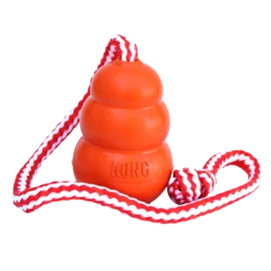 KONG - Aqua - Größe: L