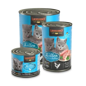 Leonardo Kitten Reich an Geflügel