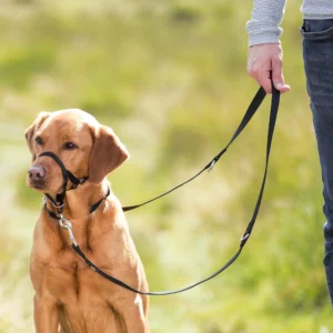 Trixie Trainingsgeschirr Top Trainer