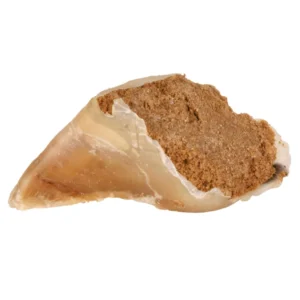 Trixie Kauhuf Fleischpastete ca.115g