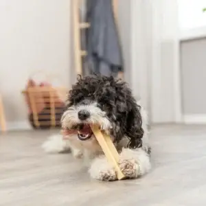 Trixie Kaukäse - Größe: XS