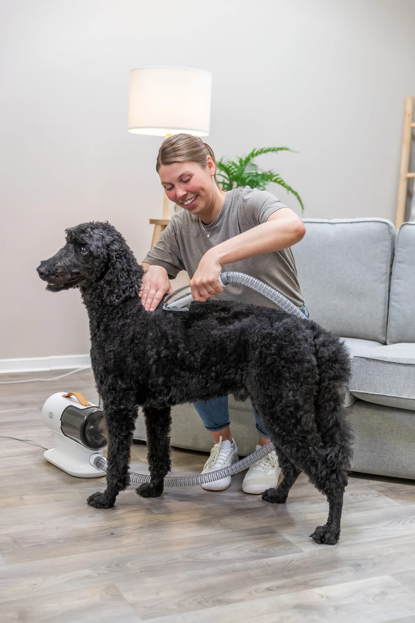 Trixie Schermaschinenset mit Fellsauger – Bild 13