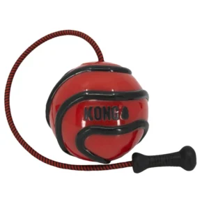 KONG - Bunji High-Viz Ball Assorted