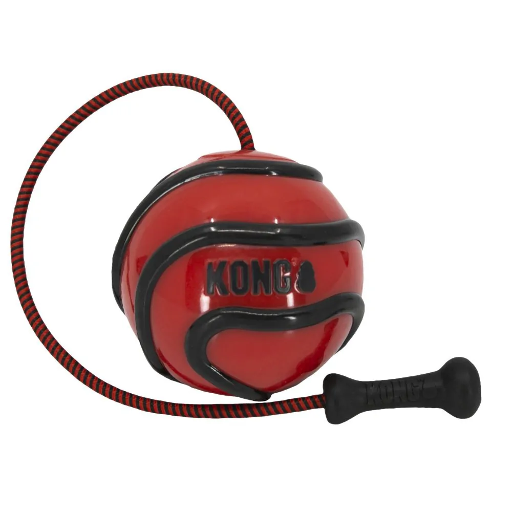 KONG - Bunji High-Viz Ball Assorted