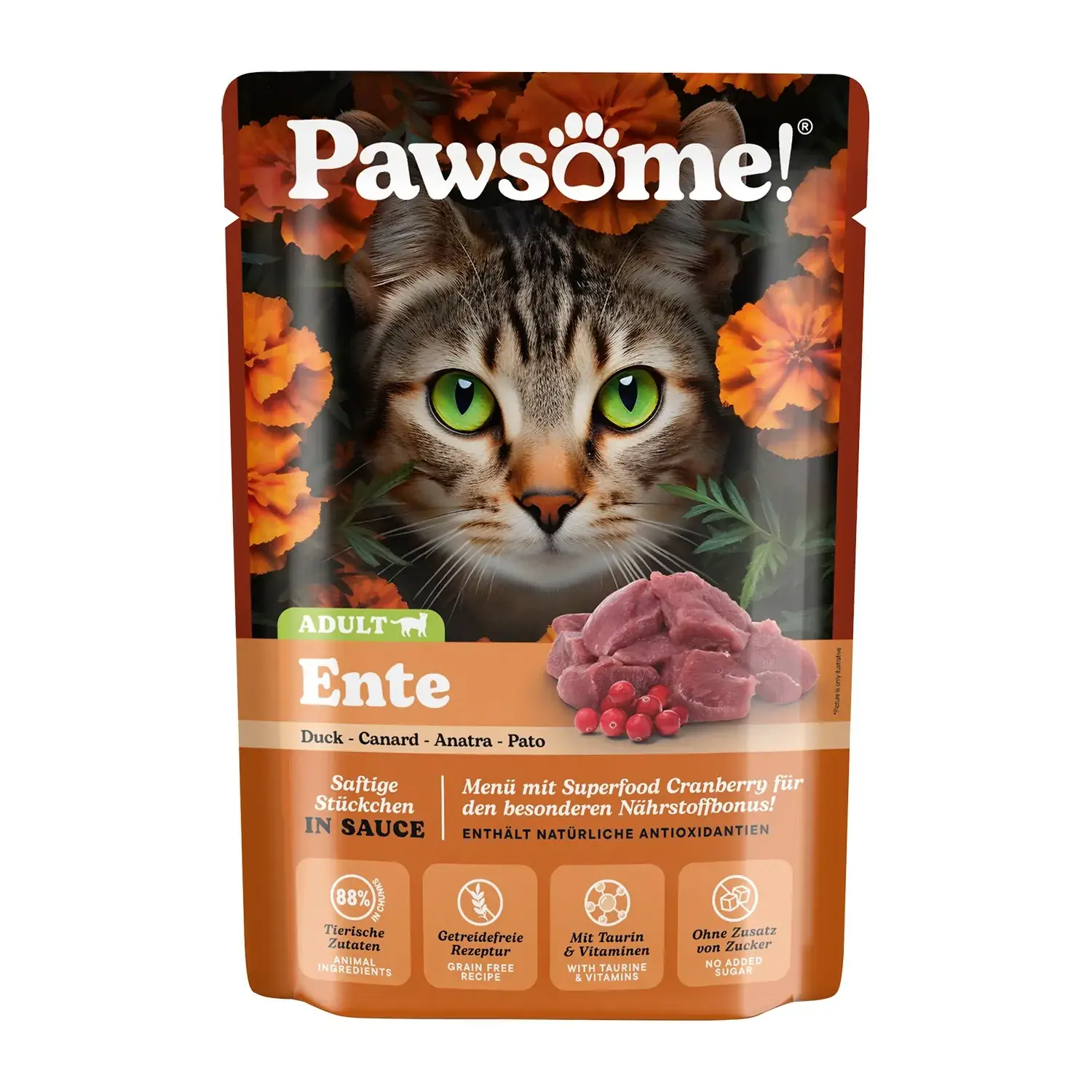 Pawsome! Adult Ente