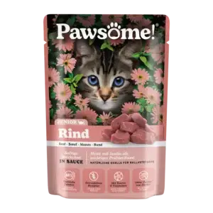 Pawsome! Kitten Rind 85g in Sauce