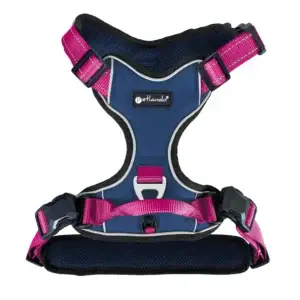 Petlando Magnetech Geschirr - Farbe: navy/fuchsia