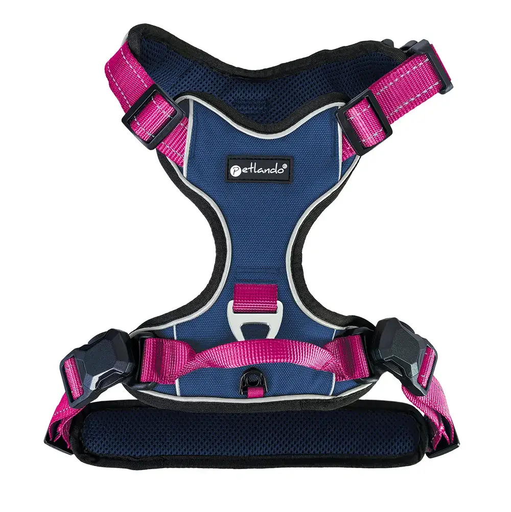 Petlando Magnetech Geschirr - Farbe: navy/fuchsia
