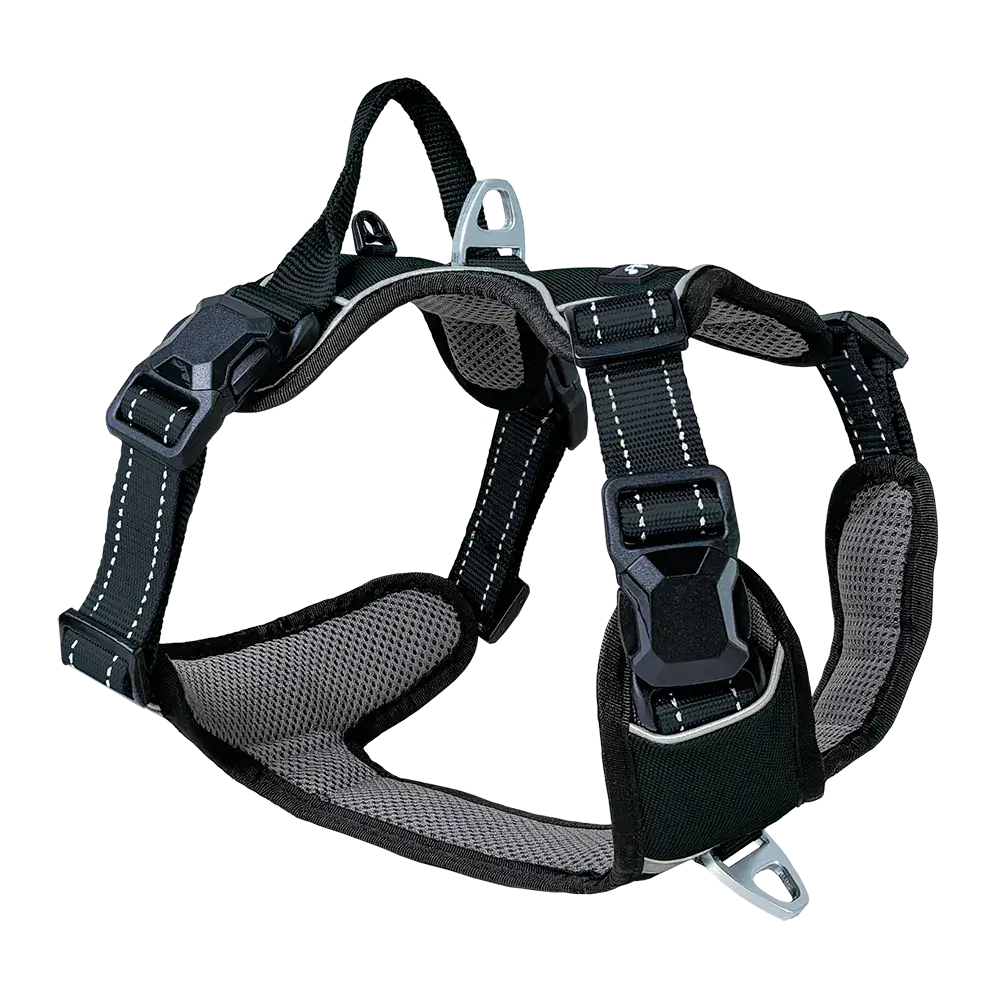Petlando Magnetech Outdoor Geschirr - Farbe: anthrazit/schwarz