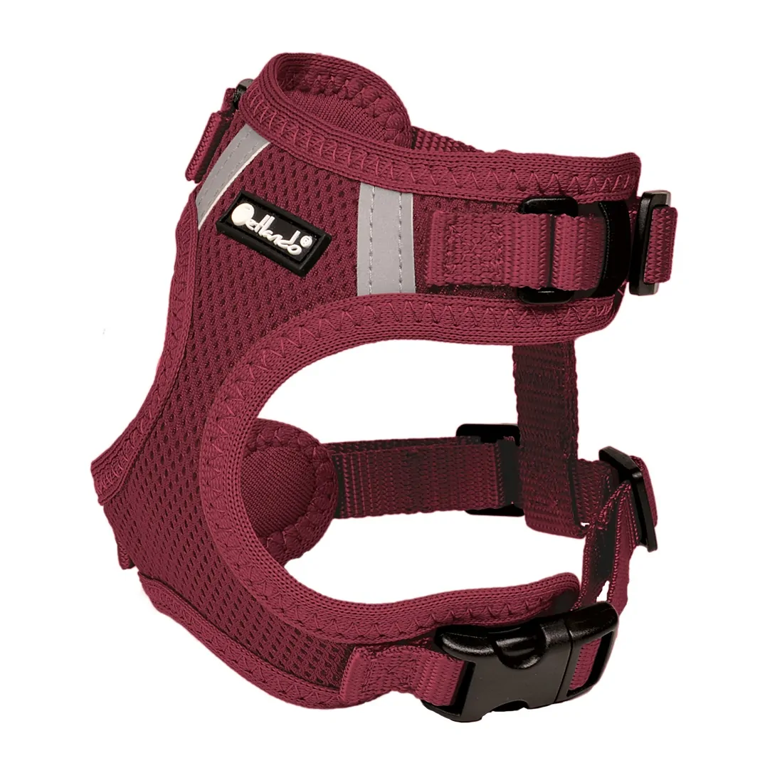 Petlando Mesh Vest - Farbe: bordeaux