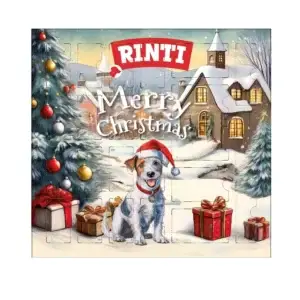 Rinti Chicko Adventskalender