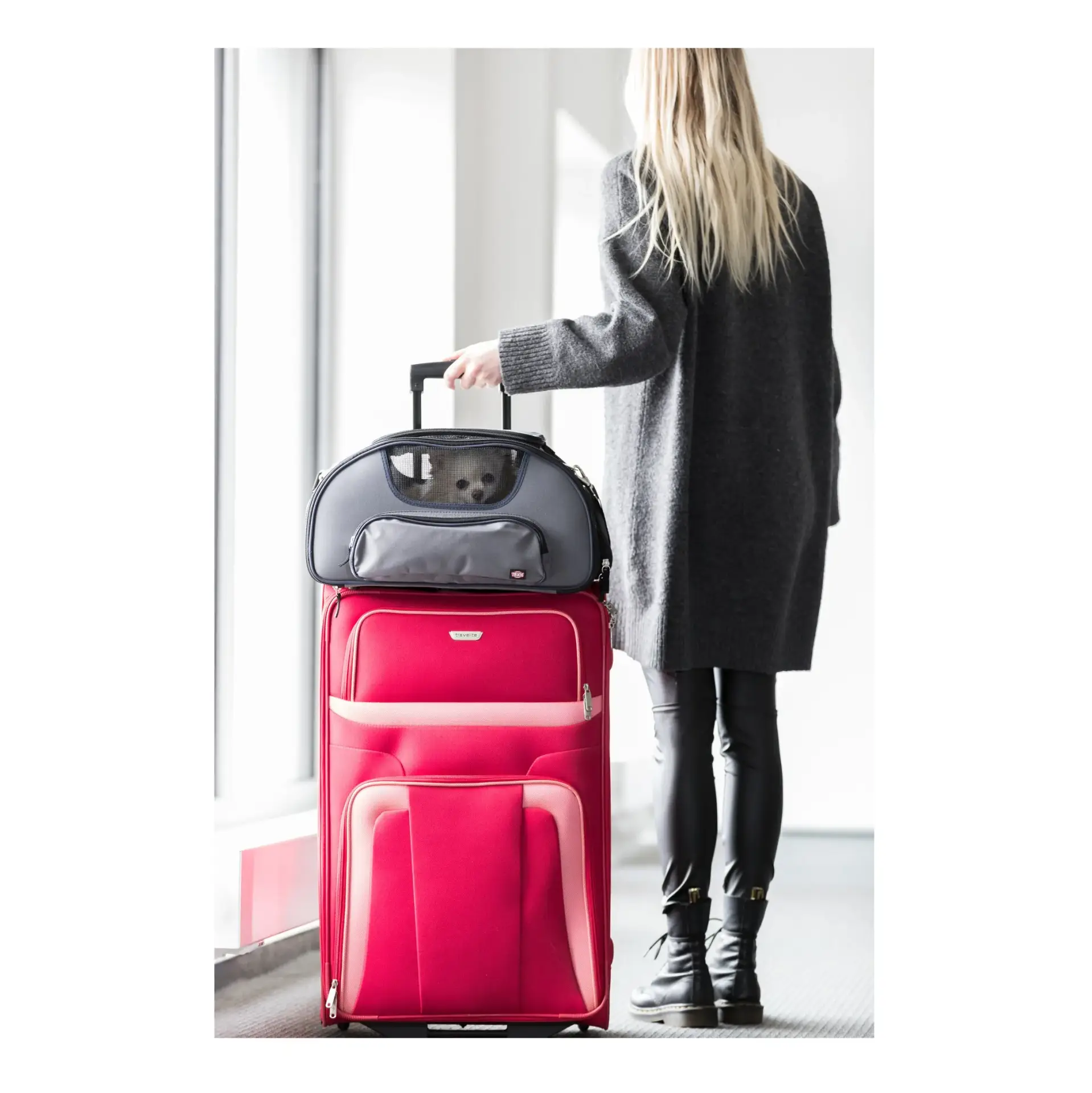 Trixie Airline Tasche Wings – Bild 3