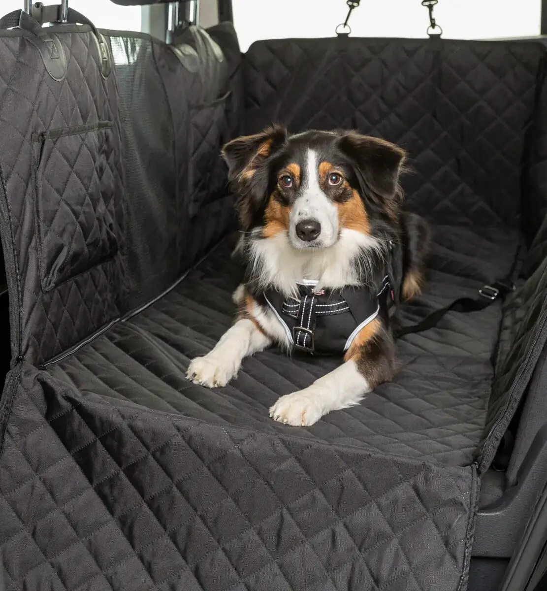 Trixie Auto-Schondecke schwarz – Bild 3