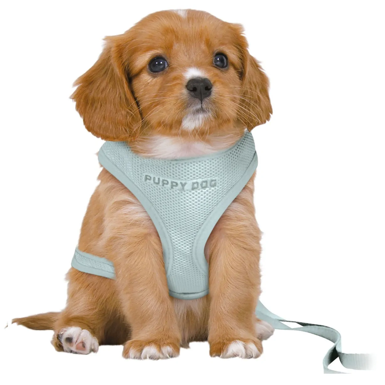 Trixie Junior Welpen-Softgeschirr mit Leine