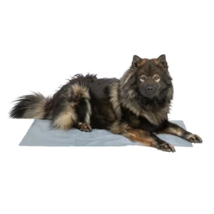 Trixie Kühlmatte für Hunde - Größe L