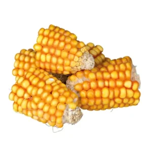 Trixie Maiskolbenstücke 300g
