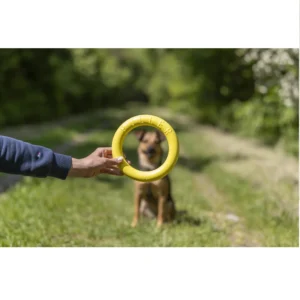 Trixie Puller Ringe EVA 2er Pack (Blau und gelb) - Ø 20 cm