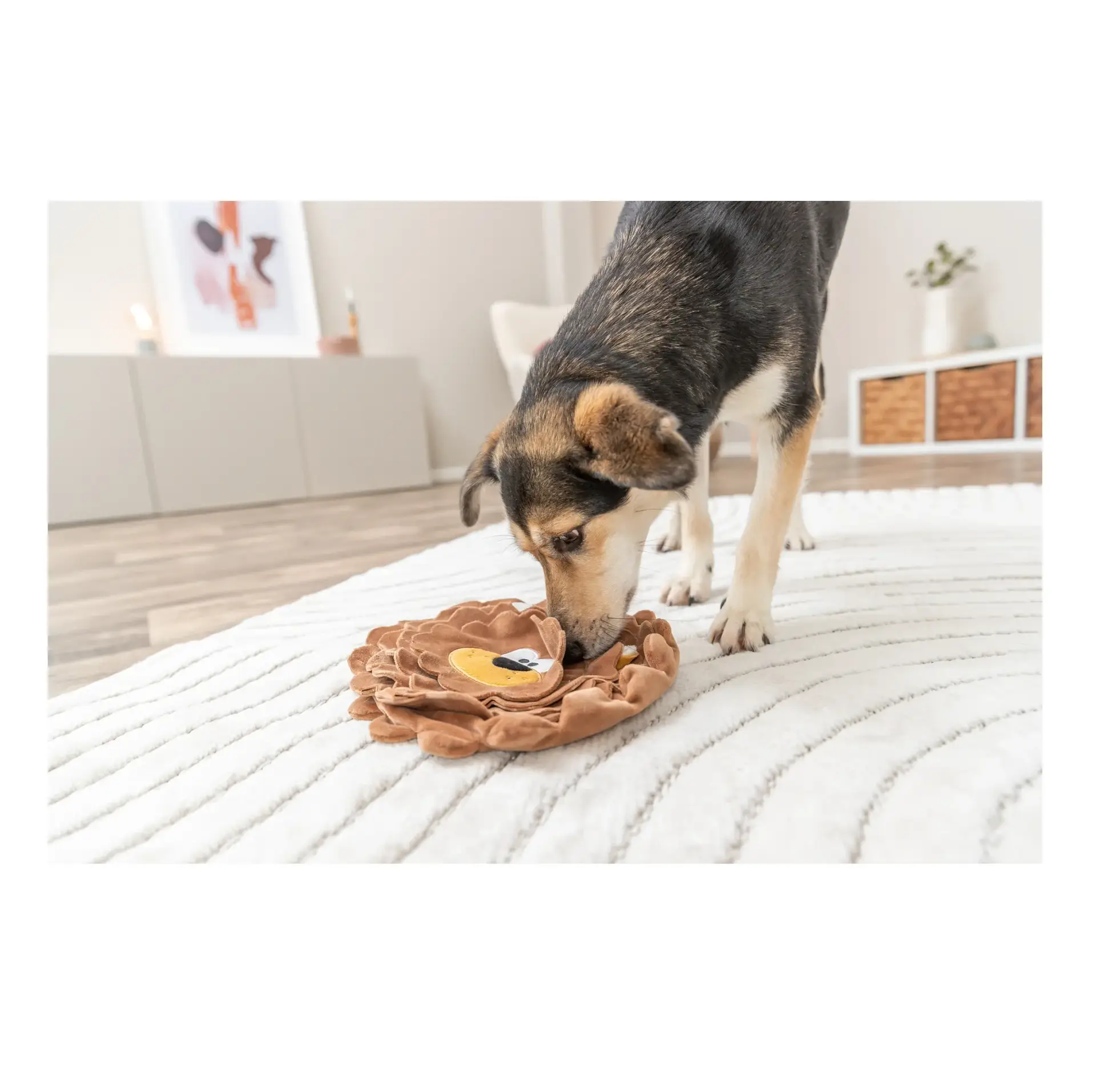 Trixie Snack-Löwe Maße: ø 26 cm – Bild 4