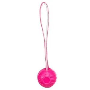 Trixie Soft & Strong Ball am Gurt - 27 cm