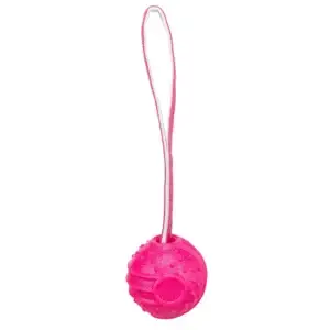 Trixie Soft & Strong Ball am Gurt - 29 cm