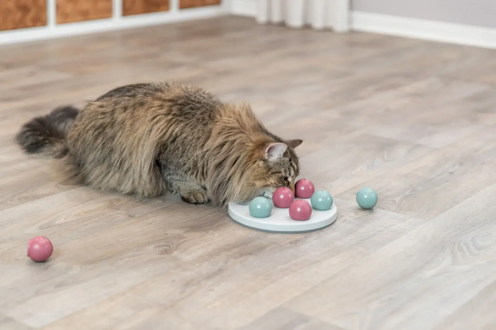 Trixie Solitär Strategiespiel - 20 cm – Bild 3