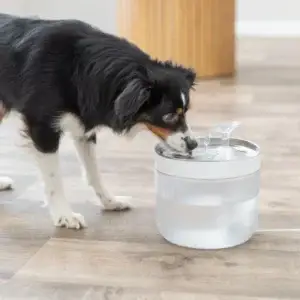 Trixie TAqua Clear runder Trinkbrunnen für Hunde mit Edelstahltrinkschale 18 × 16 × 18 cm
