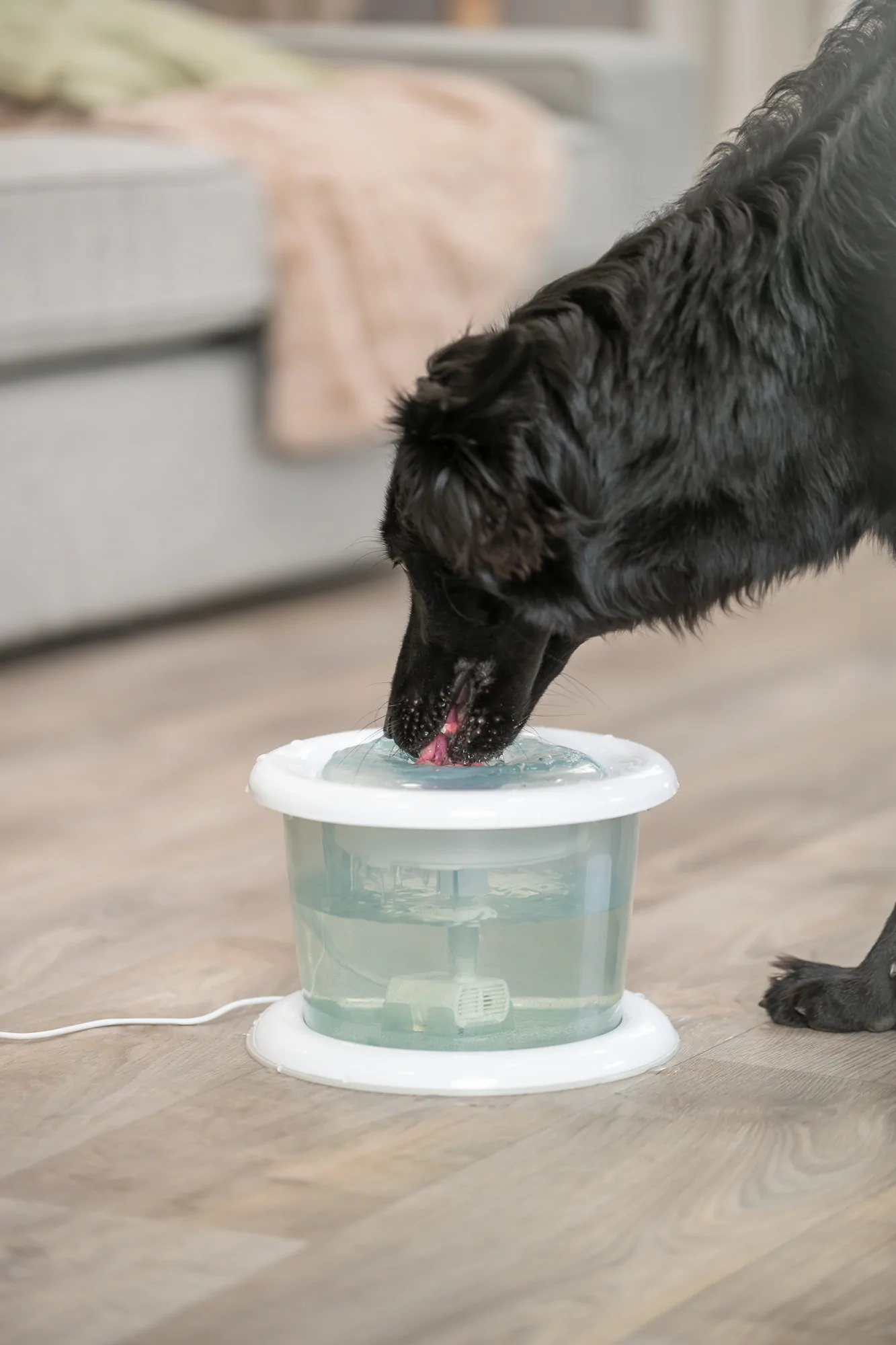 Trixie Trinkbrunnen Bubble Stream – Bild 10