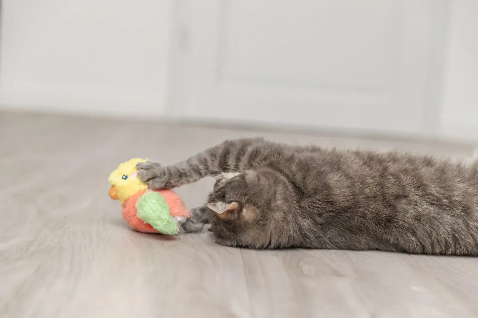 Trixie Zappelvogel 10 cm – Bild 5