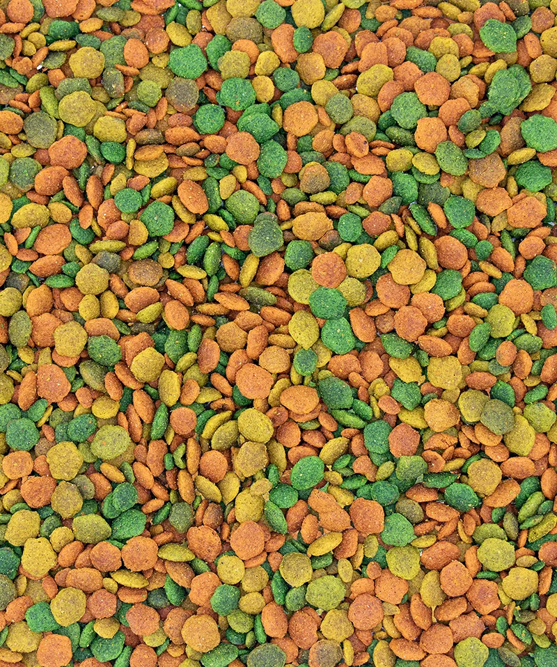 Versele-Laga Nutri Bird G14 Tropical 1kg – Bild 2
