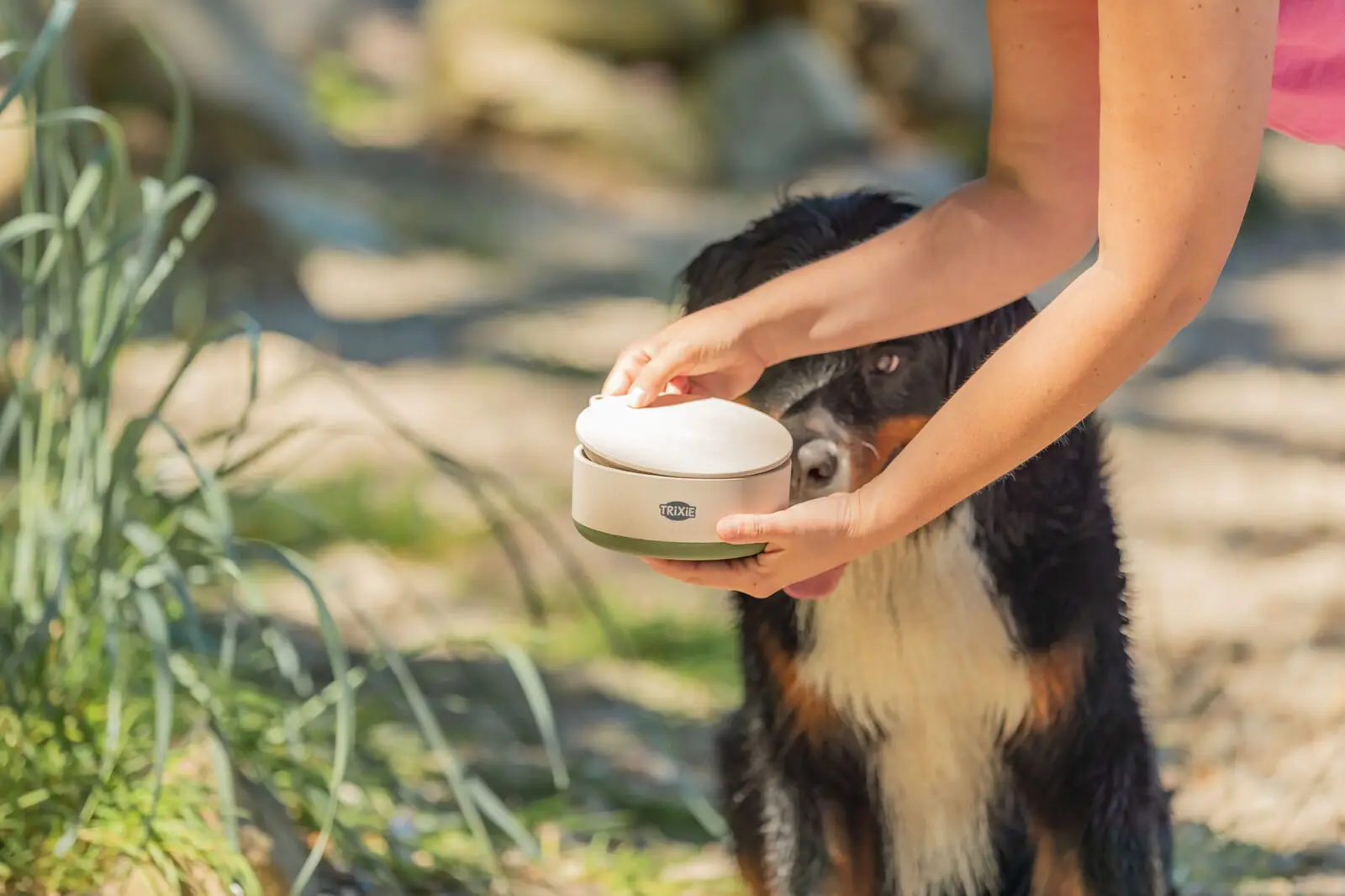 Trixie Bambusnapf für Hunde 0,7l – Bild 4