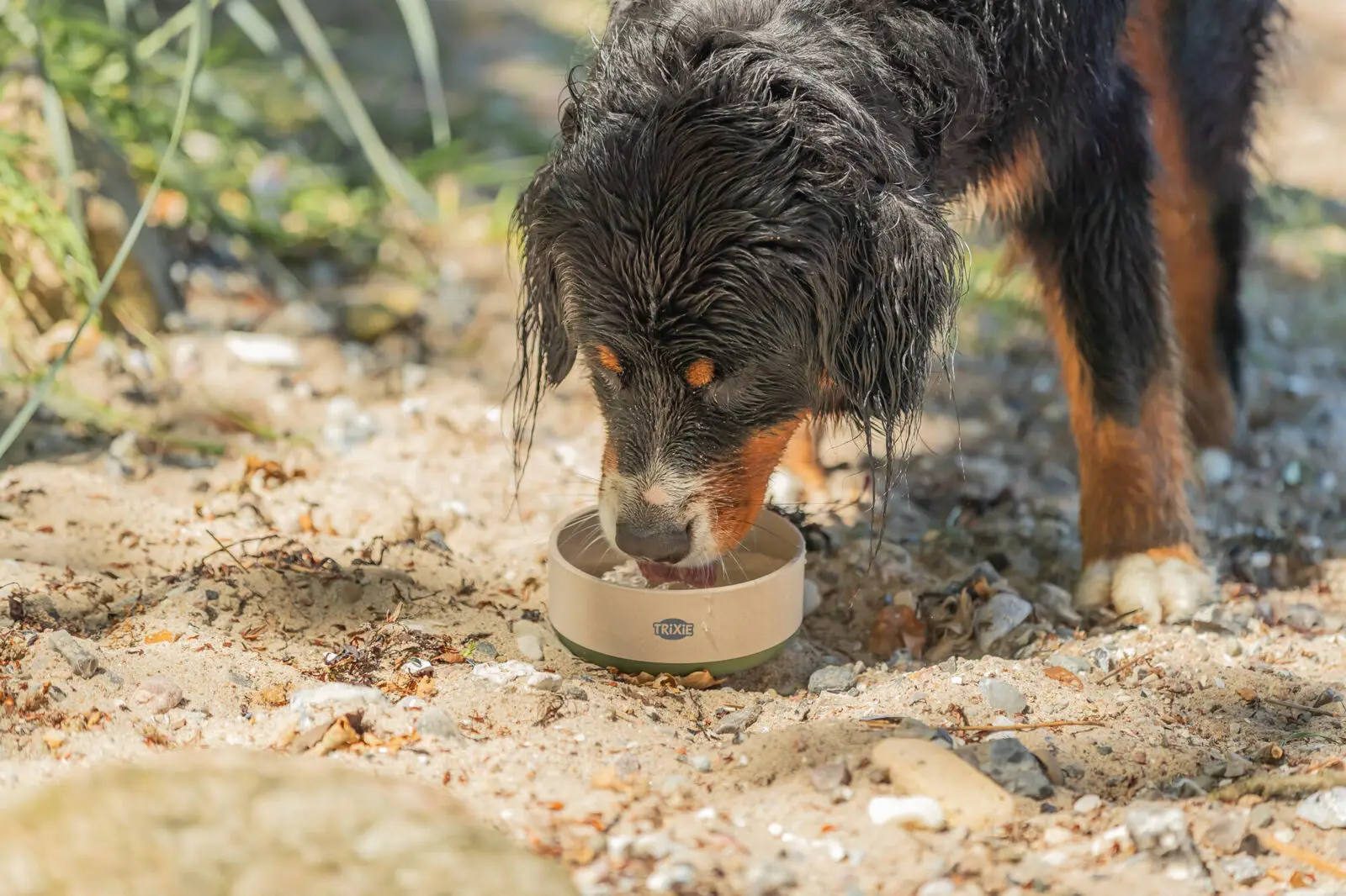 Trixie Bambusnapf für Hunde 0,7l – Bild 5